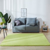 冬季羊毛绒客厅茶几小地毯加厚保暖卧室满铺装饰床边毛毯地垫_288 2x2米 果绿色