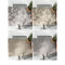 入户地垫进防滑垫家用口地毯入脚垫玄关耐磨防滑客厅垫_8 60x90cm 时光回廊-灰