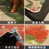 进丝圈地垫入户垫卫浴防滑地毯家用入厅阳台脚垫口垫子_1_668 45*120cm 手绘仙人掌