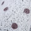 地垫垫进可裁剪入户防滑卫生间吸水客厅口家用厨房脚垫地毯_2 80*120cm【可裁剪无压边】 文字格
