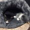 猫窝封闭式小型犬狗窝冬季冬天加厚保暖四季通用猫咪窝垫宠物用品 S：50*50*36cm（适合12斤内宠物） 深咖