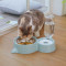 狗盆狗碗猫碗双碗自动饮水食盆狗狗碗猫咪水碗防打翻饭盆宠物用品_5 自动续水双碗（通用） 古粉红色+餐垫（超值！）