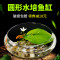 圆鱼缸小型桌面创意玻璃睡莲圆形水培植物金鱼缸一体水养家用造景_1 默认尺寸 大号玻璃缸裸缸【25cm】