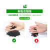 水泥专用沙鱼缸装饰肥料底砂种植土陶粒砂水族造景套餐10斤_2 默认尺寸 【3L】+开缸伴侣