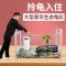 乌龟缸大型鱼宠物龟养乌龟专用水龟饲养箱特大号超大家用养龟大号 默认尺寸 【推荐】61cm超大号豪华：套餐二
