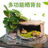 乌龟缸带晒台玻璃别墅养龟的专用缸鳄龟中型特大型鱼缸家用水陆缸_2 默认尺寸 52cm大号：微景观套餐一