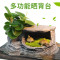 乌龟缸带晒台玻璃别墅养龟的专用缸鳄龟中型特大型鱼缸家用水陆缸_2 默认尺寸 52cm大号：微景观套餐二