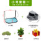 乌龟缸带晒台玻璃别墅养龟的专用缸鳄龟中型特大型鱼缸家用水陆缸_2 默认尺寸 36cm小号：微景观套餐一