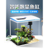 免换水生态鱼缸小型水族箱自循环客厅金鱼智能懒人家用创意带氧气 默认尺寸 YGD-500【江山如画】送礼包