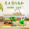 养龟的专用缸养乌龟缸龟生态玻璃水陆金鱼缸小型免换水别墅箱家用_1 默认尺寸 中号简约款：套餐一