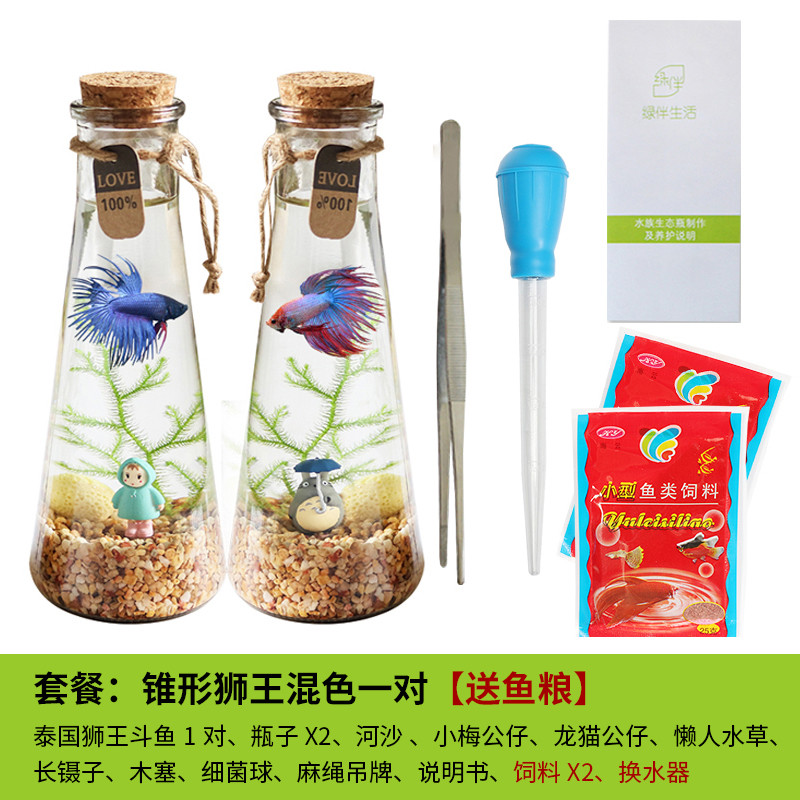 斗鱼生态瓶封闭小鱼瓶免换水瓶装观赏鱼玻璃桌面透明微景观鱼小型_1 默认尺寸 【一对】锥形：狮王+吸便器