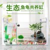 乌龟金鱼鱼缸龟鱼和鱼龟混养缸两用一体生态客厅深水龟小型二合一 默认尺寸 特大号混养缸套餐二（过滤效果好