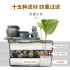 乌龟龟缸滴流盒过滤盒鱼缸过滤器外置上置滤盒净水循环自制小型_1 默认尺寸 小号带底吸泵套餐一（绿萝）