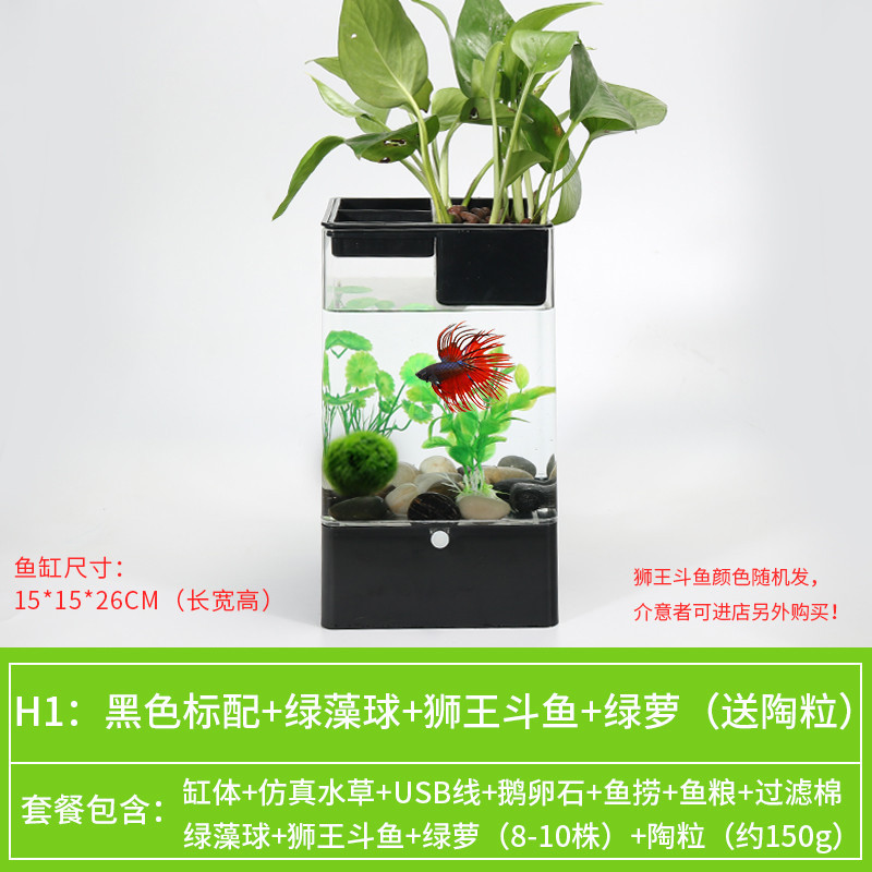 水培植物养鱼缸一体家用塑料创意懒人小型免换水桌面斗鱼专用客厅_1 默认尺寸 黑色标配+绿藻球+绿萝+狮王斗鱼