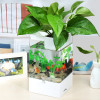水培植物养鱼缸一体家用塑料创意懒人小型免换水桌面斗鱼专用客厅_1 默认尺寸 黑色标配+狮王斗鱼