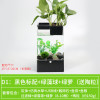 水培植物养鱼缸一体家用塑料创意懒人小型免换水桌面斗鱼专用客厅_1 默认尺寸 黑色标配+绿藻球+绿萝
