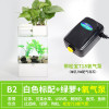 水培植物养鱼缸一体家用塑料创意懒人小型免换水桌面斗鱼专用客厅_1 默认尺寸 白色标配+绿萝+氧气泵