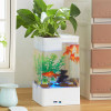 水培植物养鱼缸一体家用塑料创意懒人小型免换水桌面斗鱼专用客厅_1 默认尺寸 黑色标配+绿藻球+狮王斗鱼