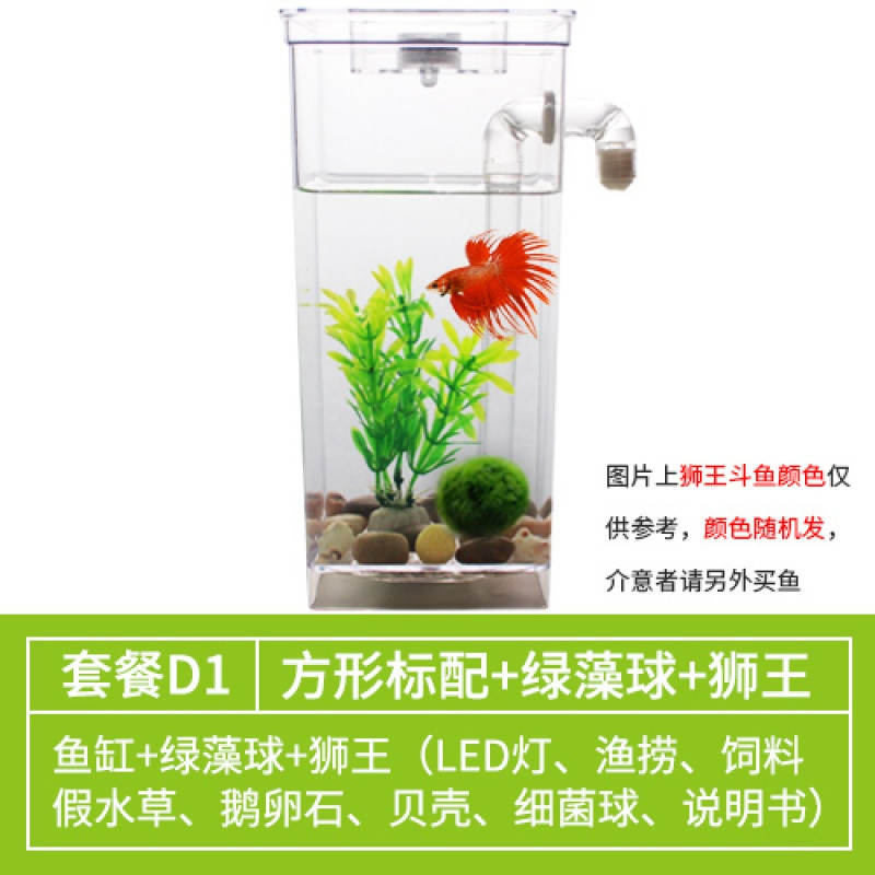 泰国斗鱼专用缸自洁懒人鱼缸自动客厅免换水小型生态塑料桌面微型 默认尺寸 方形缸标配+绿藻球+狮王斗鱼