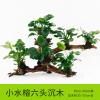 懒人水有茎类鱼缸装饰水榕沉木净化水质的水辣椒榕水族箱_2_159 默认尺寸 【六头】小水榕六头沉木