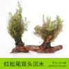 沉木水缸鱼缸装饰造景套餐小水榕类懒人新手真水椒植物_1 默认尺寸 红松尾双头沉木