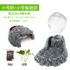 陆龟乌龟龟屋窝晒台爬台爬宠爬虫造景豹纹守宫缘超大号_1 默认尺寸 小号+小号饮水盆（送绿萝）