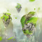 鱼缸装饰假山造景石头塑料水植物仿真悬水族布景漂 默认尺寸 普通款中号松皮石