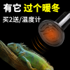 龟箱保温灯乌龟发热灯泡蜥蜴角蛙爬虫加热灯泡陆龟陶瓷灯爬宠温控 默认尺寸 200W陶瓷加热灯