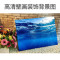 鱼缸壁纸背景纸画高清图3d鱼缸装饰品背景画双面造景珊瑚石背景板_2 默认尺寸 70高82长