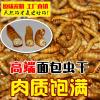 面包虫干粉虫仓鼠龟粮地图罗汉鱼粮龙鱼饲料鱼饲料冻干_616 默认尺寸 冻干面包虫3000ml，