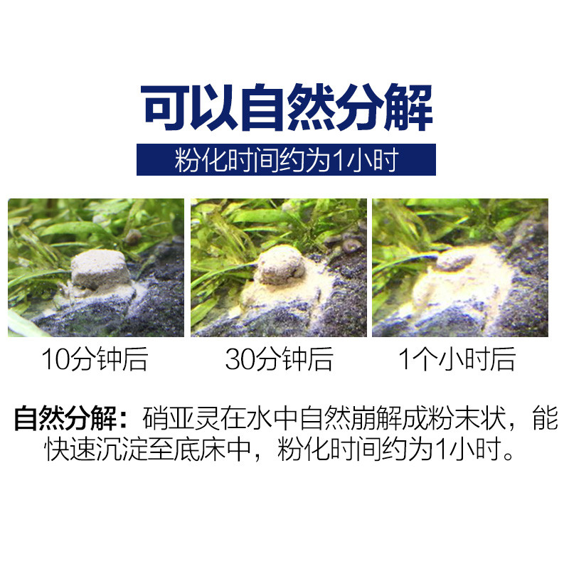 养鱼硝化细菌鱼缸净水剂开缸免换水片剂水族细菌_715 默认尺寸 硝亚灵1瓶（60粒）