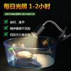 乌龟晒背灯全光谱爬宠陆龟蜥蜴太阳灯加热灯泡爬虫保温灯_1 默认尺寸 乌龟晒背灯长款（灯架+50W卤素灯泡）3C认证
