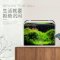 热弯鱼缸免换水懒人生态鱼缸小型水族箱超白玻璃金鱼缸水缸_1 默认尺寸 长18CM热弯超白缸+灯+过滤器
