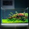 加宽超白玻璃鱼缸客厅小型生态水族箱水缸中型桌面金鱼缸