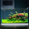 加宽超白玻璃鱼缸客厅小型生态水族箱水缸中型桌面金鱼缸 默认尺寸 金晶超白玻璃HEK-600+灯+过滤器