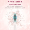 海尔(Haier)声波振动电动牙刷HB5C1-10