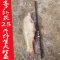 【优先发货】日本原装进口碳素达瓦鱼竿手竿台钓杆超轻硬28调3.6米5.4钓鱼竿 默认尺寸 日本原产6.3米