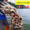 【优先发货】细丝餐鱼网粘网沉网浮网白条1指小鱼网1米高6分7分8分9分三层渔网_743 浮网三层1.3米高2指眼50米长