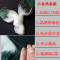【优先发货】抓小白条鱼网粘网单层沉网浮网细丝6分7分1指1.5指丝网渔网 单层2.4米1指眼50米沉网