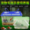 爬虫箱小龟缸塑料宠物饲养盒宠物窝水龟金鱼缸宠物运输盒手提盒_3 默认尺寸 新款大号养龟套餐