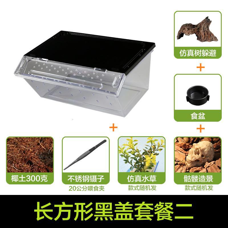 小号饲养箱塑料透明蝎子守宫蜥蜴养殖箱陆龟昆虫鸣虫饲养盒_1_223 默认尺寸 长方形黑盖套餐二