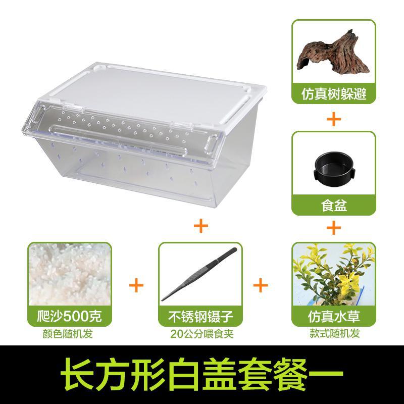 小号饲养箱塑料透明蝎子守宫蜥蜴养殖箱陆龟昆虫鸣虫饲养盒_1_223 默认尺寸 长方形白盖套餐一