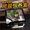 小号饲养箱塑料透明蝎子守宫蜥蜴养殖箱陆龟昆虫鸣虫饲养盒_1_223 默认尺寸 方形白盖裸盒