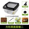 小号饲养箱塑料透明蝎子守宫蜥蜴养殖箱陆龟昆虫鸣虫饲养盒_1_223 默认尺寸 方形黑盖套餐二