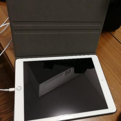【红五到手价2188】 第六代 iPad 9.7英寸 32GB WIFI版 平板电脑 MRJN2CH/A 金色晒单图