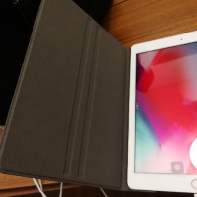 【红五到手价2188】 第六代 iPad 9.7英寸 32GB WIFI版 平板电脑 MRJN2CH/A 金色晒单图