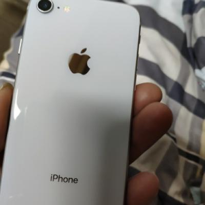 【爆款】Apple iPhone 8 64GB 银色 移动联通电信4G手机晒单图