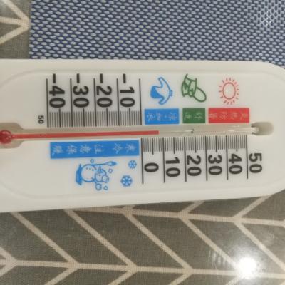 DY301-家用温度计湿度计室内温湿度计家用婴儿房壁挂式免电池创意简约家居家用晒单图