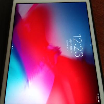 Apple iPad mini 4 7.9英寸 平板电脑(128GB WiFi版 MK9Q2CH/A)金色晒单图