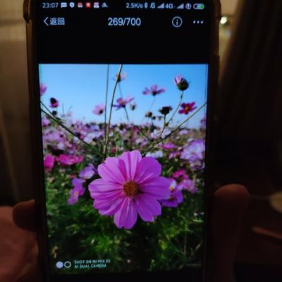 Xiaomi/小米 小米Mix2S 8GB+256GB 黑色陶瓷版 移动联通电信4G手机晒单图